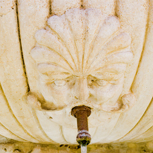 Broletto Fountain - particular