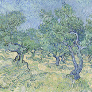 Van Gogh Olive trees