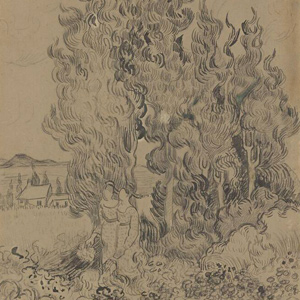 Van Gogh Cypresses