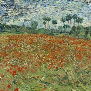 Van Gogh Poppy field